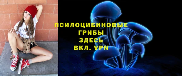 дмт Армянск