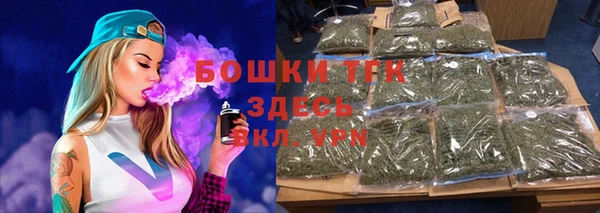 прущие грибы Алзамай