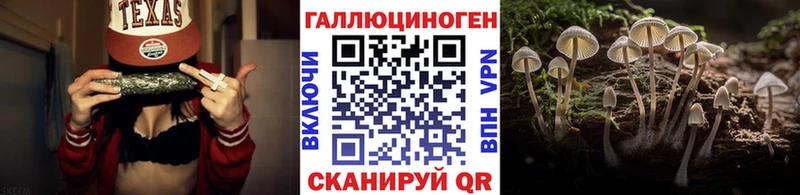Галлюциногенные грибы Cubensis  darknet Telegram  Крым 